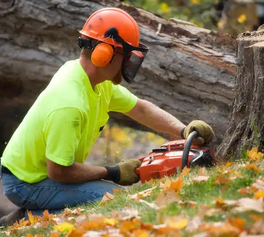 tree services Perryville